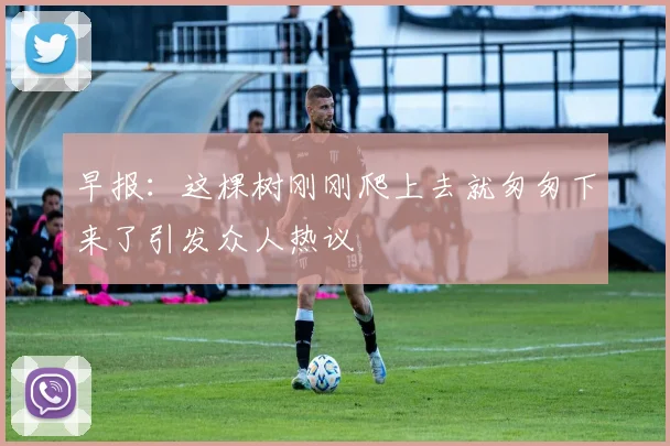 早报：这棵树刚刚爬上去就匆匆下来了引发众人热议
